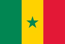 塞内加尔 战队徽标
