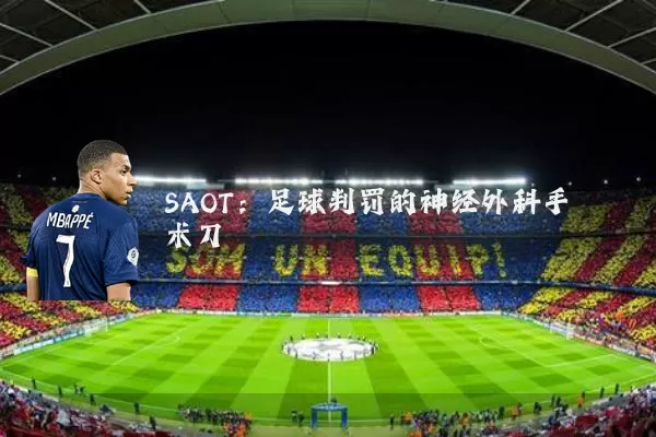 SAOT：足球判罚的神经外科手术刀
